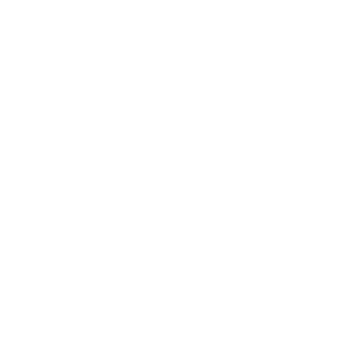 circle-border-1-1 circle-border-1-1